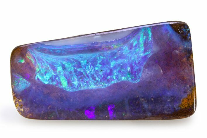 Electric Boulder Opal Specimen - Queensland, Australia #383702